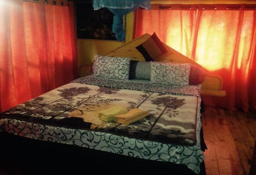 פנסיון King Fern Cottage