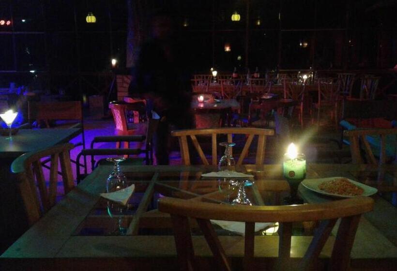 ペンション King Fern Cottage