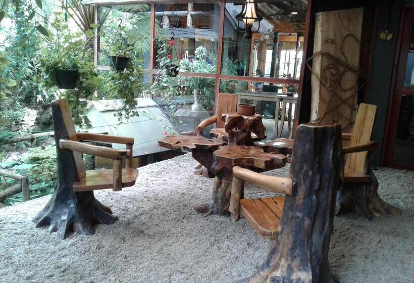 ペンション King Fern Cottage