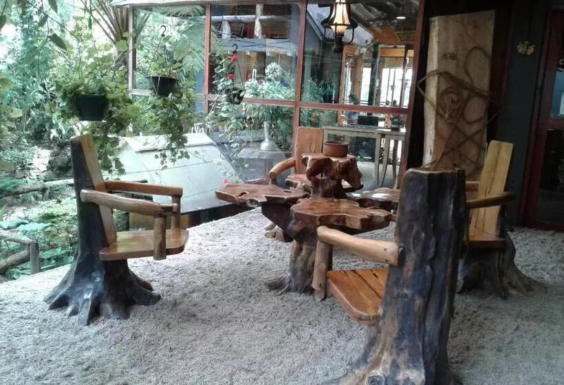 ペンション King Fern Cottage
