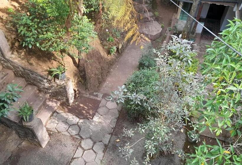 ペンション King Fern Cottage