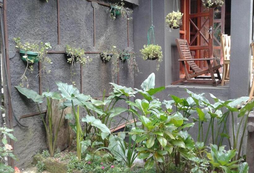 ペンション King Fern Cottage