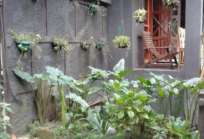 ペンション King Fern Cottage