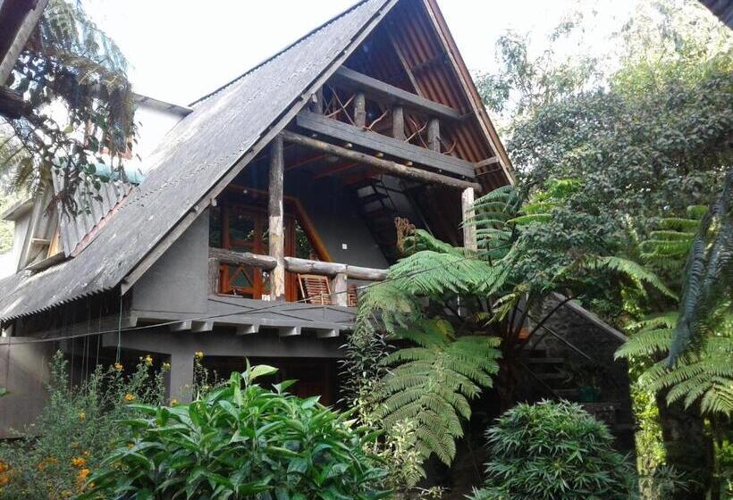 פנסיון King Fern Cottage