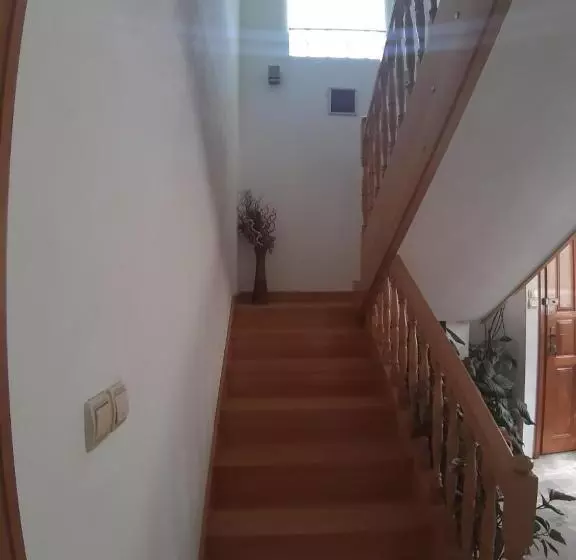 پانسیون Villa Panorama