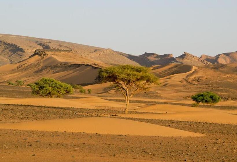 Riad Les Jardins De Tafraoute