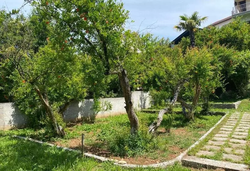 هاستل Villa San