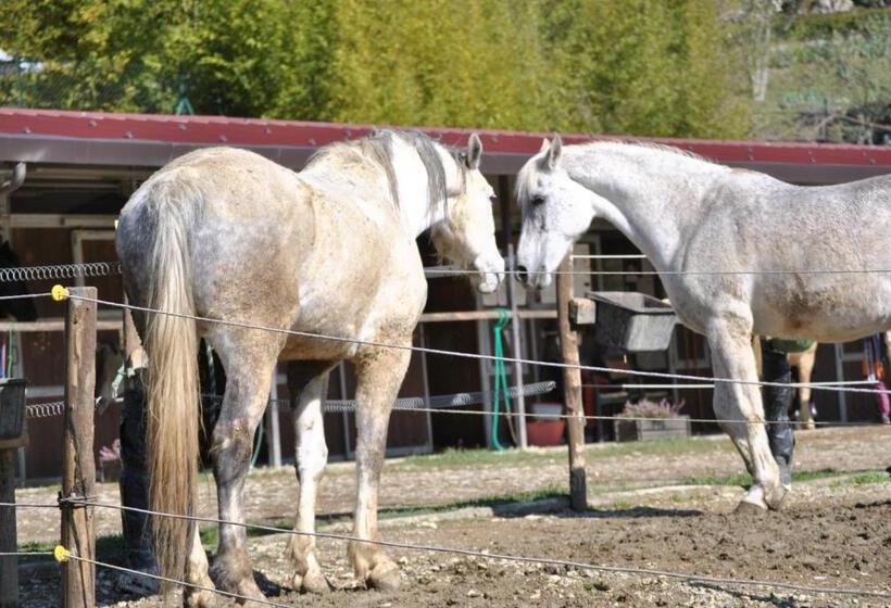 فندق Agriturismo Fattoria Il Ginepro