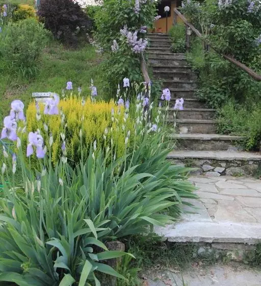 Hotelli Agriturismo Fattoria Il Ginepro
