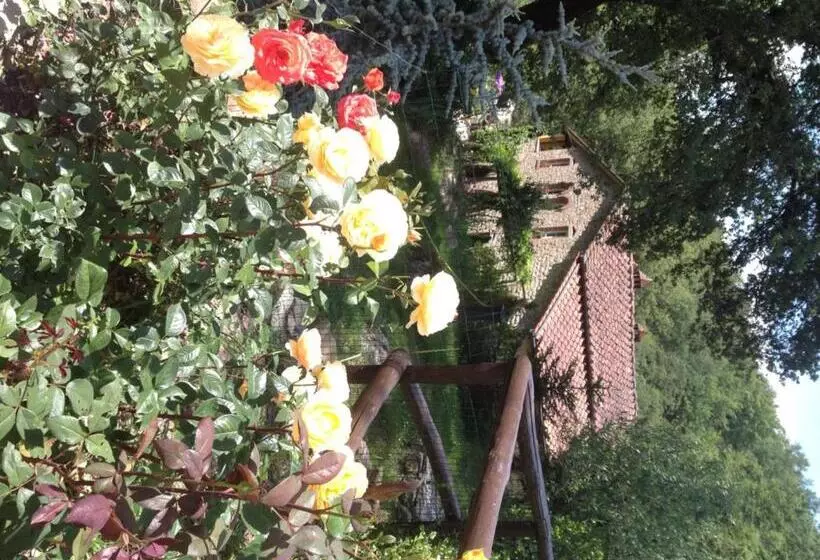 Hotelli Agriturismo Fattoria Il Ginepro