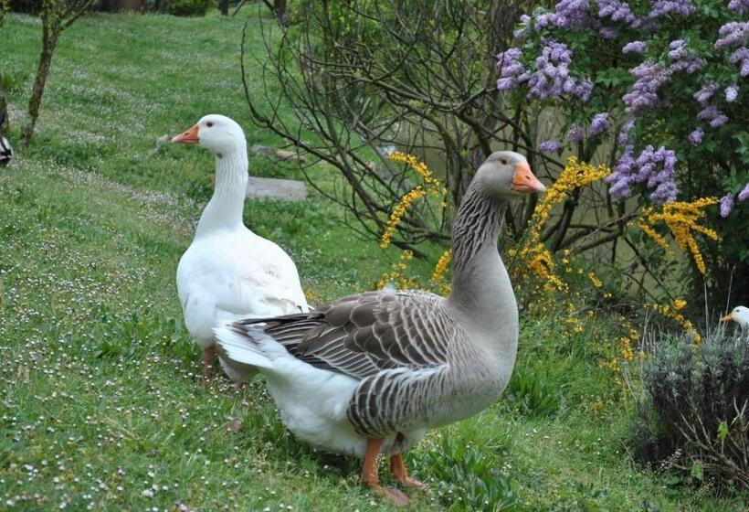 فندق Agriturismo Fattoria Il Ginepro