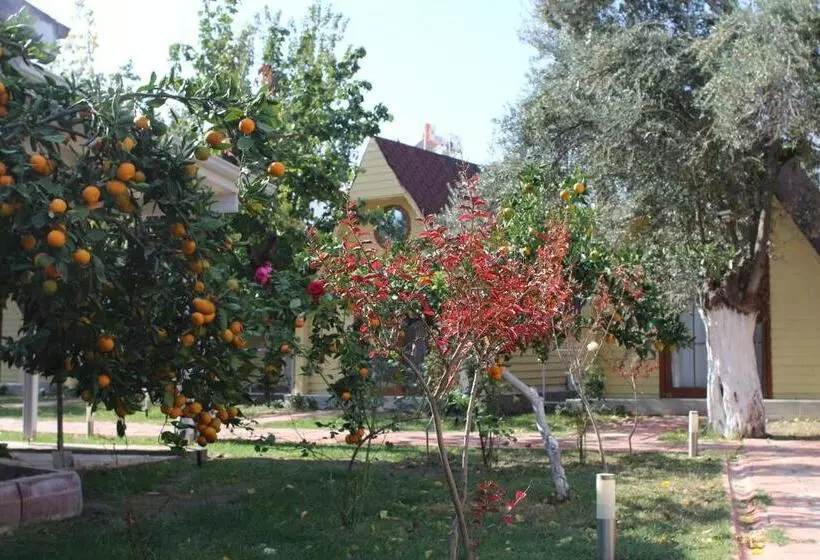 ホテル İdavilla Bungalov & Bahçe