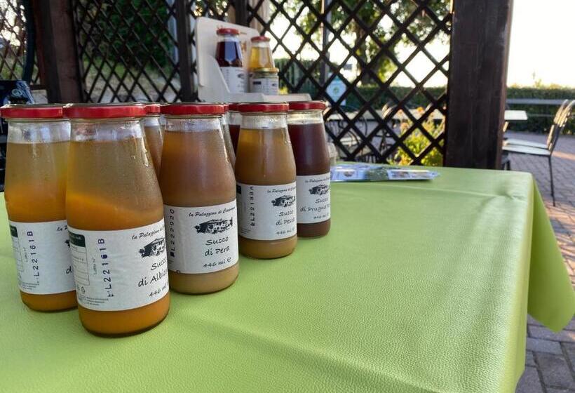 ホテル La Palazzina Di Ciagnano