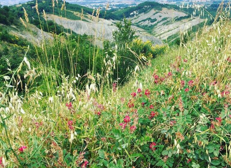 ホテル La Palazzina Di Ciagnano