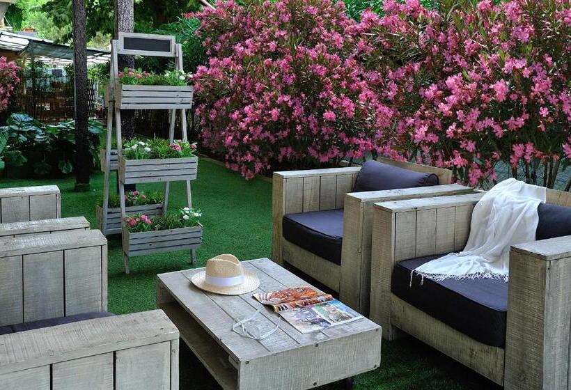 בית מלון כפרי Roma