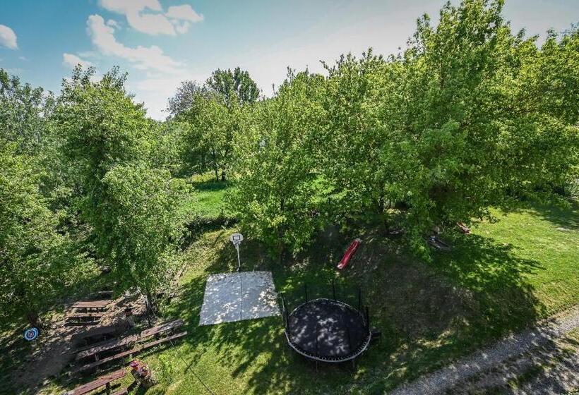 פנסיון Bodrogzug Vendégház