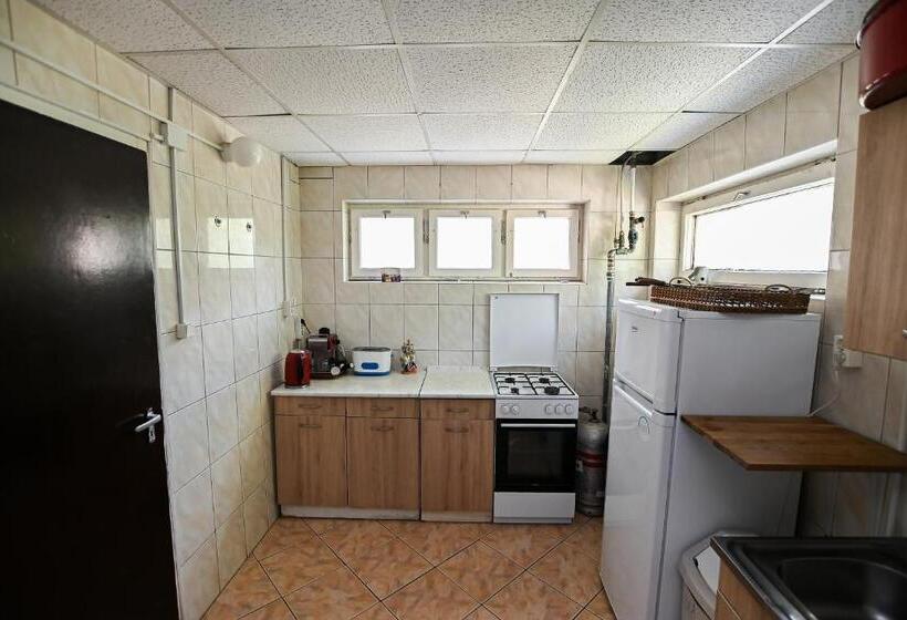 פנסיון Bodrogzug Vendégház