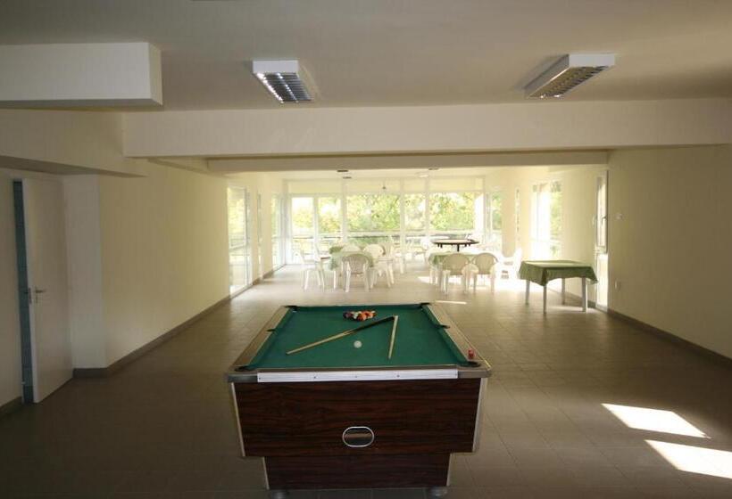 פנסיון Bodrogzug Vendégház