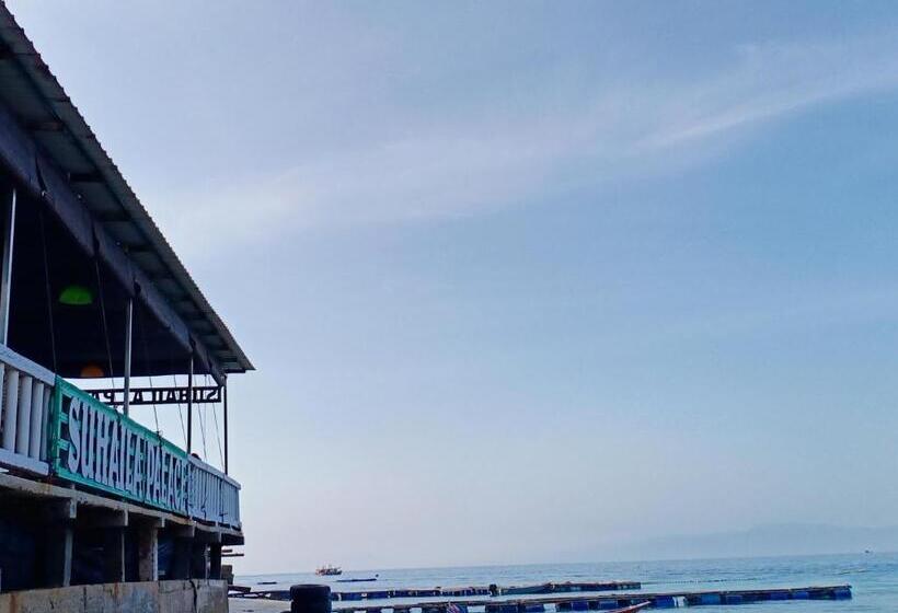 Kurort  Suhaila Palace