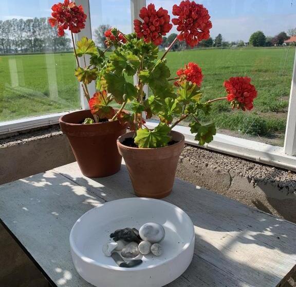 Strandbadsgården B&b