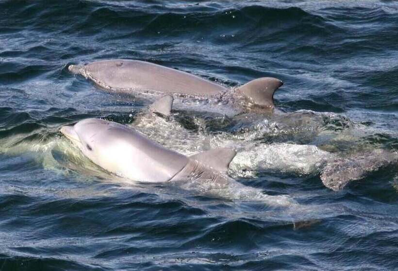 旅馆 Port Adelaide Backpackers