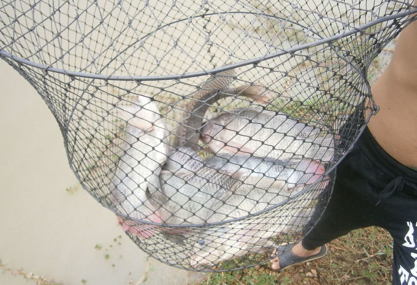 Отель Freddie's Fishing Park