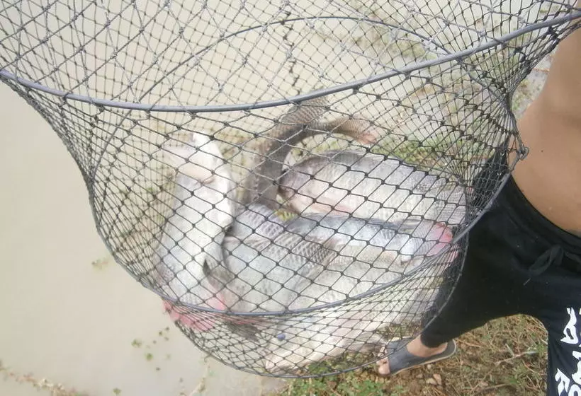 ホテル Freddie's Fishing Park