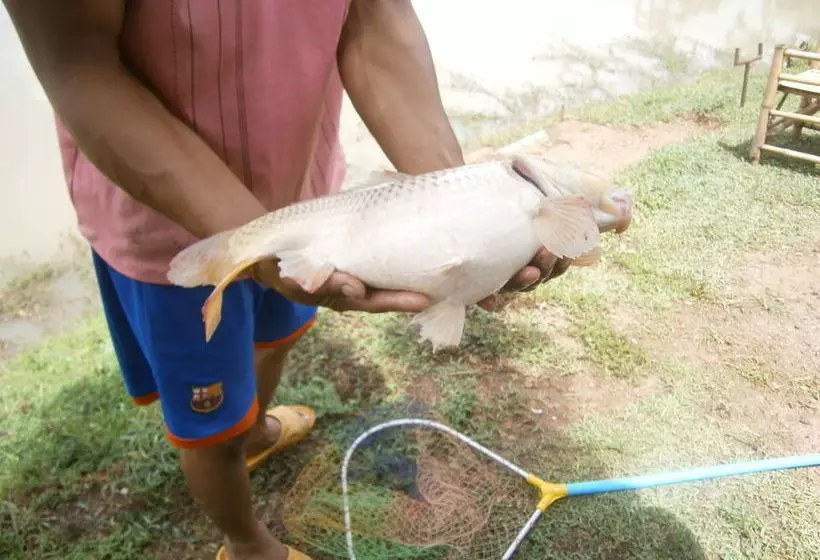 ホテル Freddie's Fishing Park