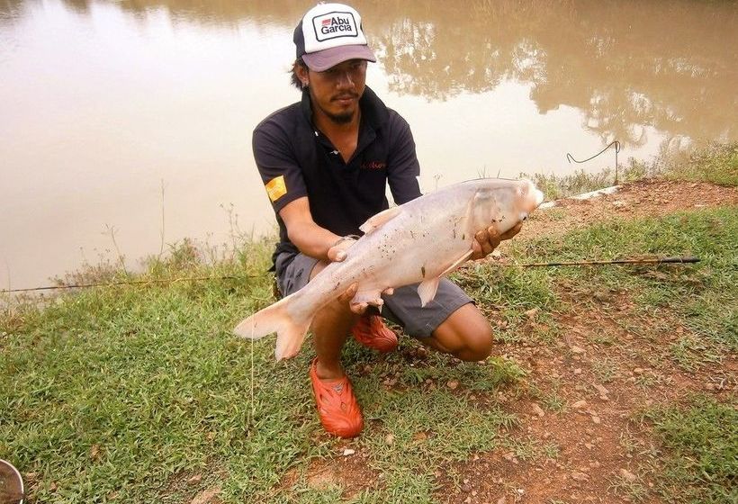 Отель Freddie's Fishing Park