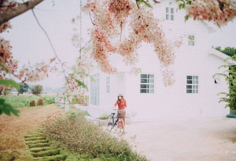 בית מלון כפרי Romance Another Story In Pai