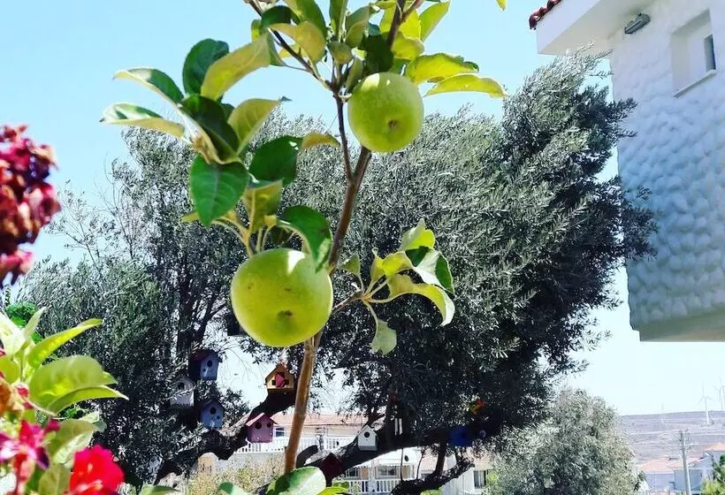 Hotelli Rüzgar Gülü