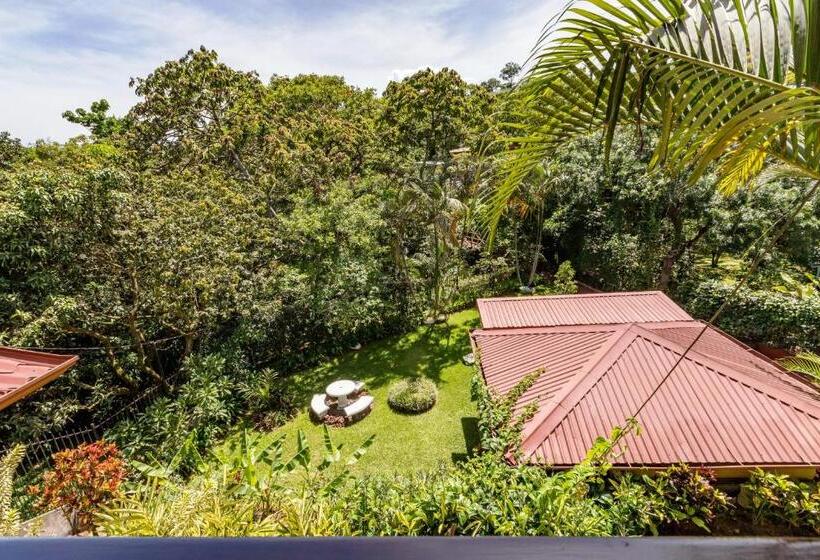 La Terraza Guest House B&b