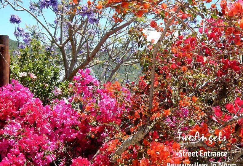 پانسیون Twoangels