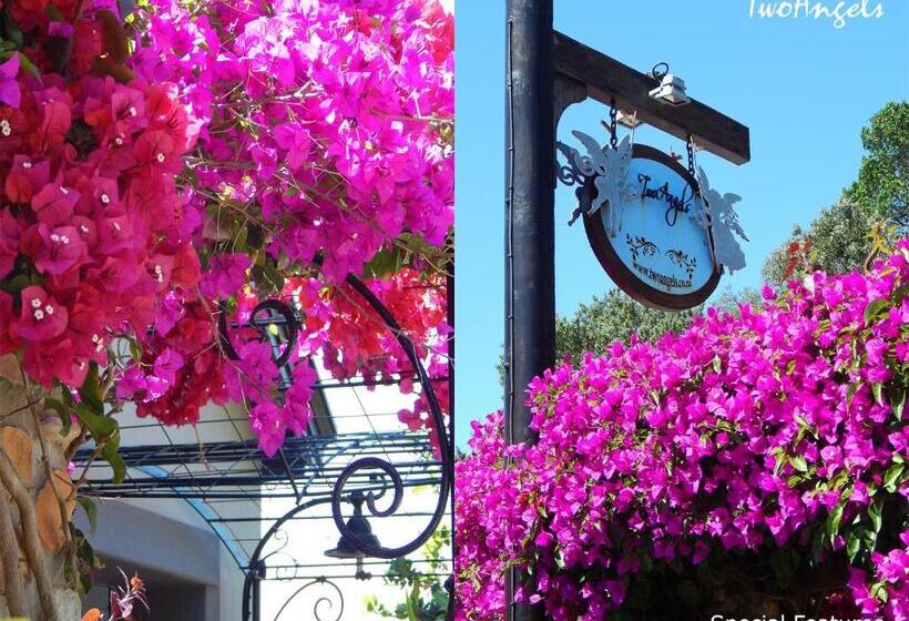 پانسیون Twoangels