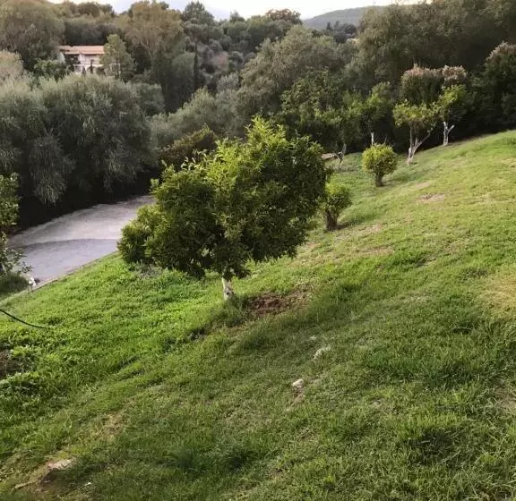 Vlassis Studios