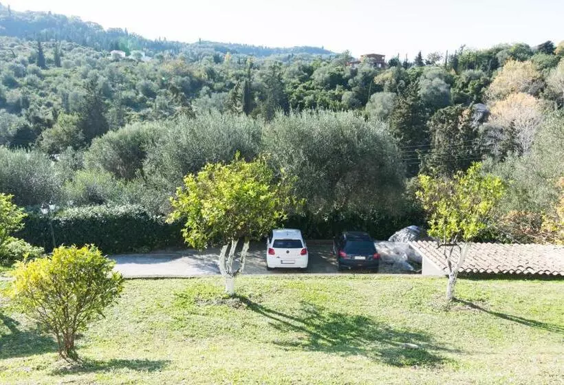 Vlassis Studios