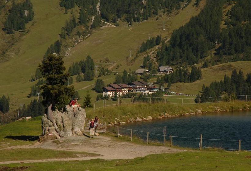 酒店 Plattner S Alpen