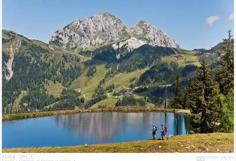 ホテル Plattner S Alpen