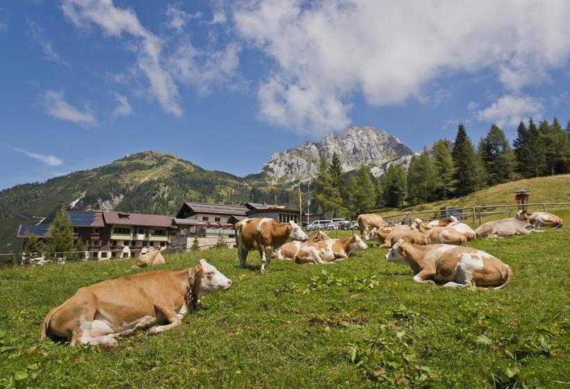 酒店 Plattner S Alpen