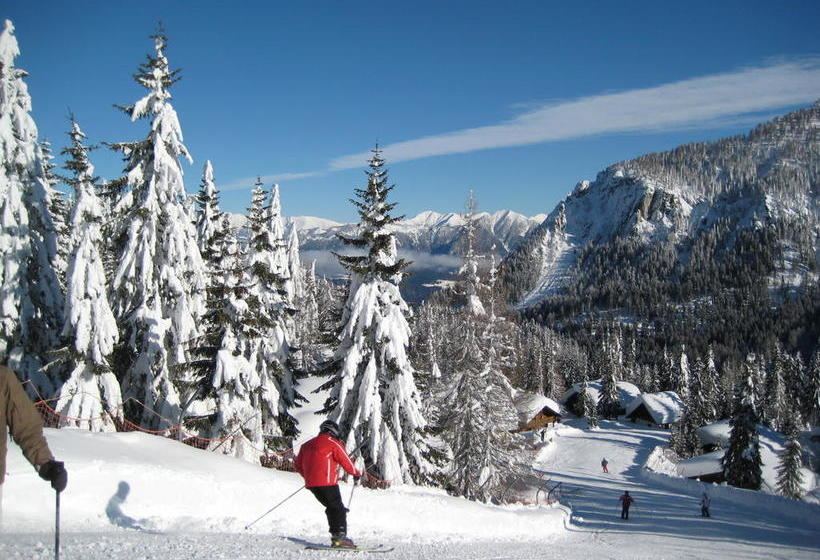 酒店 Plattner S Alpen