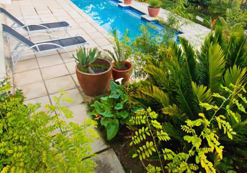 צימר Apple And Spice Guest House