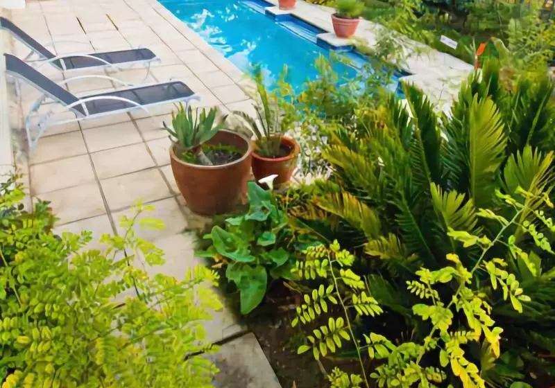 تختخواب و صبحانه Apple And Spice Guest House