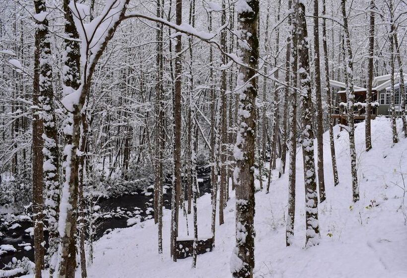 住宿加早餐  The Owl's Perch