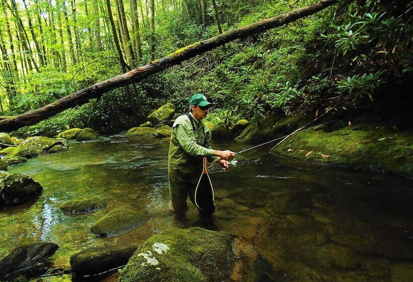 住宿加早餐  The Owl's Perch