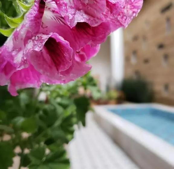 هتل Casa Carmen