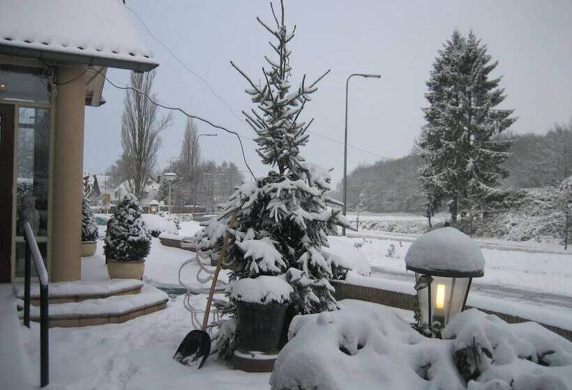 בית מלון כפרי Het Landhuis