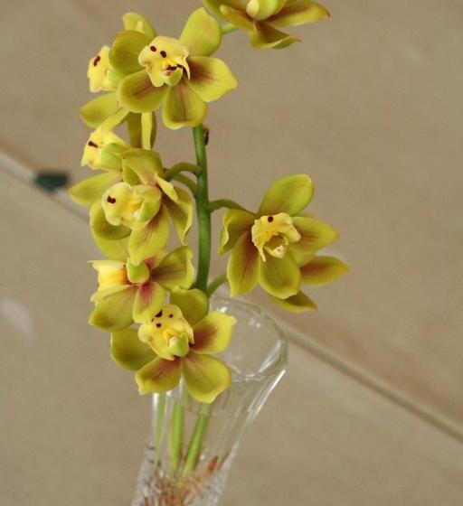 فندق Kawaguchiko Station Inn