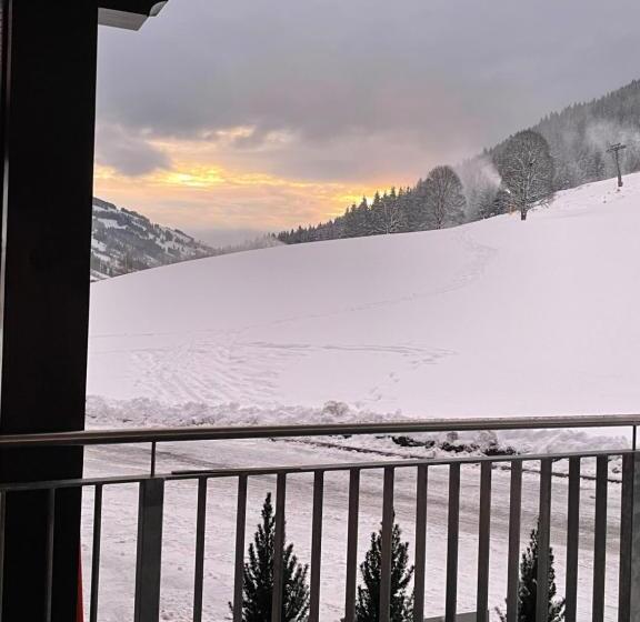 호텔 Pension Schattberg