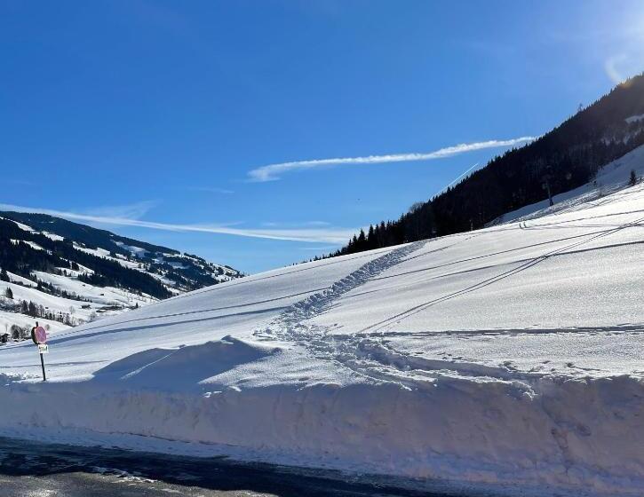 호텔 Pension Schattberg