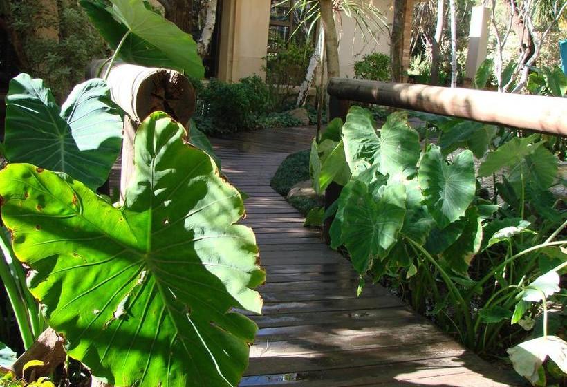 Jedidja Bed And Breakfast